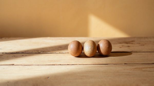 5 astuces pour identifier rapidement les œufs de punaises de lit